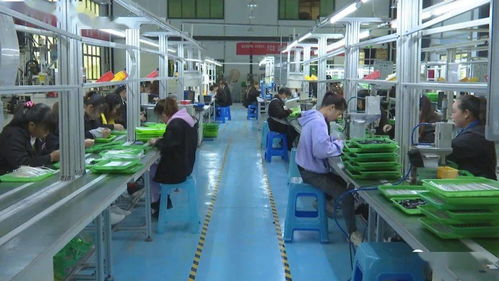 訂單式生產與電商運營雙輪驅動，安龍電子產品產業前景廣闊